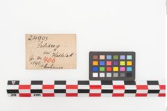 Etiketten zu Bronzelanzenspitze (NHMW-PRAE-024903)